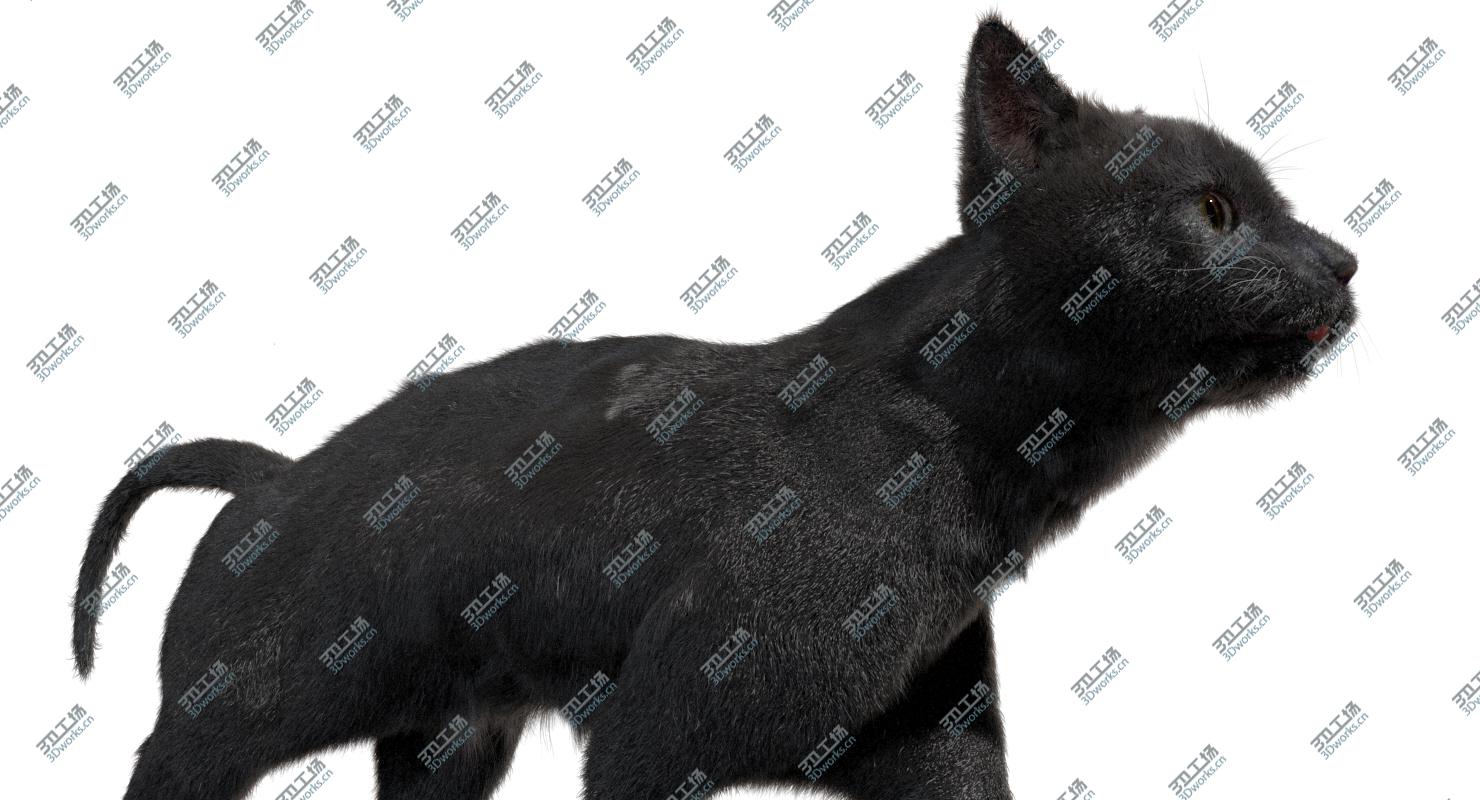 images/goods_img/202104021/3D Black Cat (Rigged) model/5.jpg
